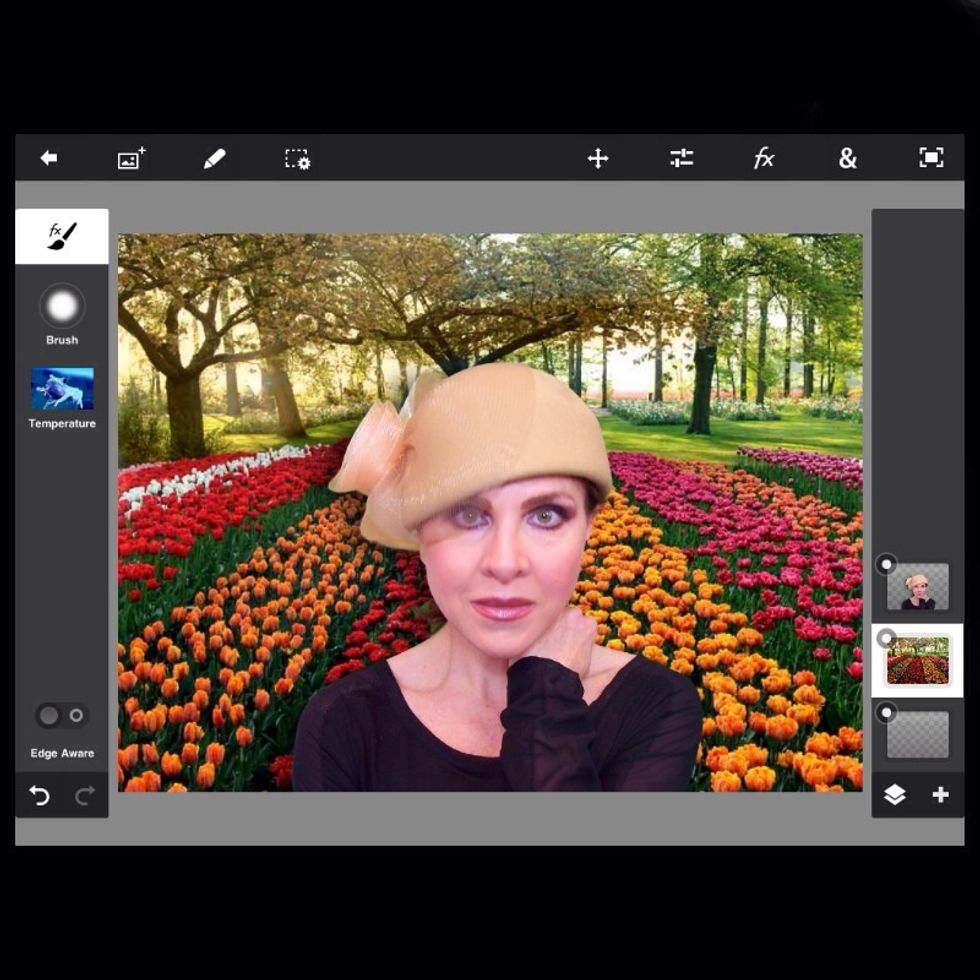 I chose the temperature filter to warm up the upper section of the photo. You just paint it on with yor finger.