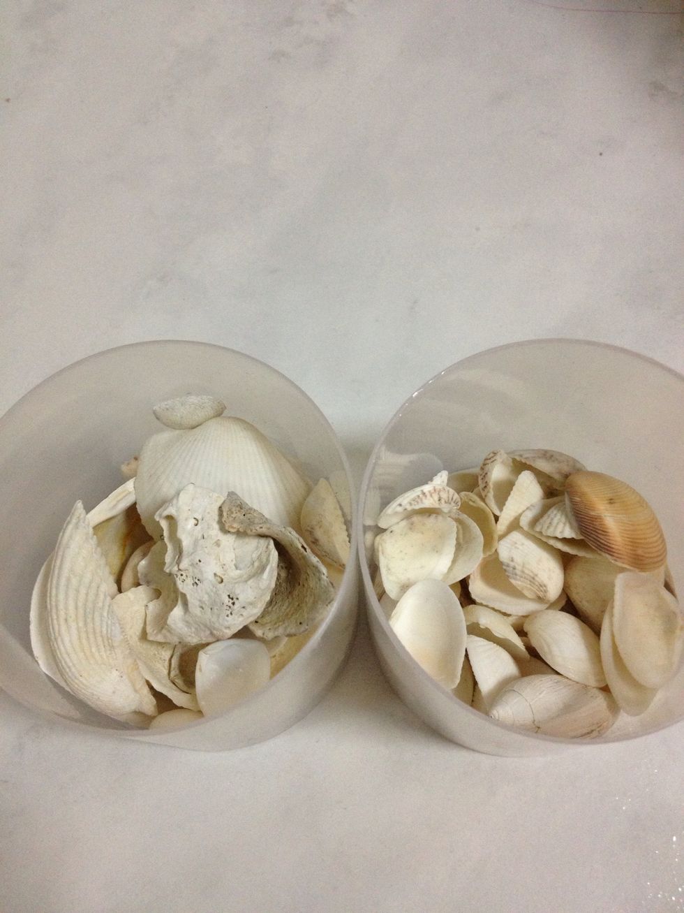 I collect those seashell from beach from my previous trip in Puerto Princessa wih him, i still remember the excitement when collecting those from the beach ^^