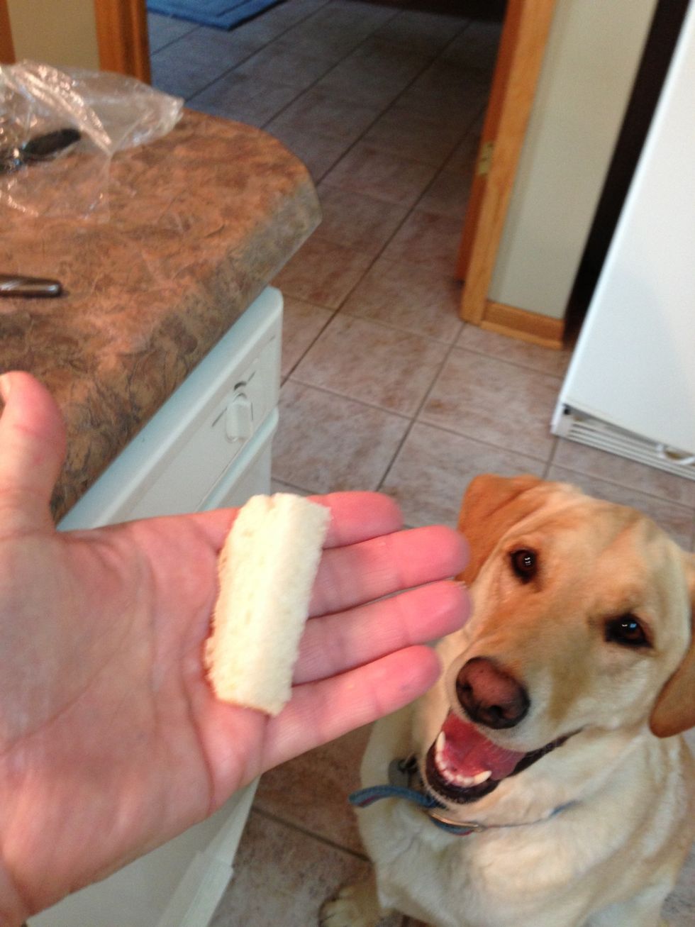 I cut bread into long cubes. It cuts perfectly if you do it frozen. I keep a little Baggie of these bread strips in the freezer and pull one out when it's time for her medication.