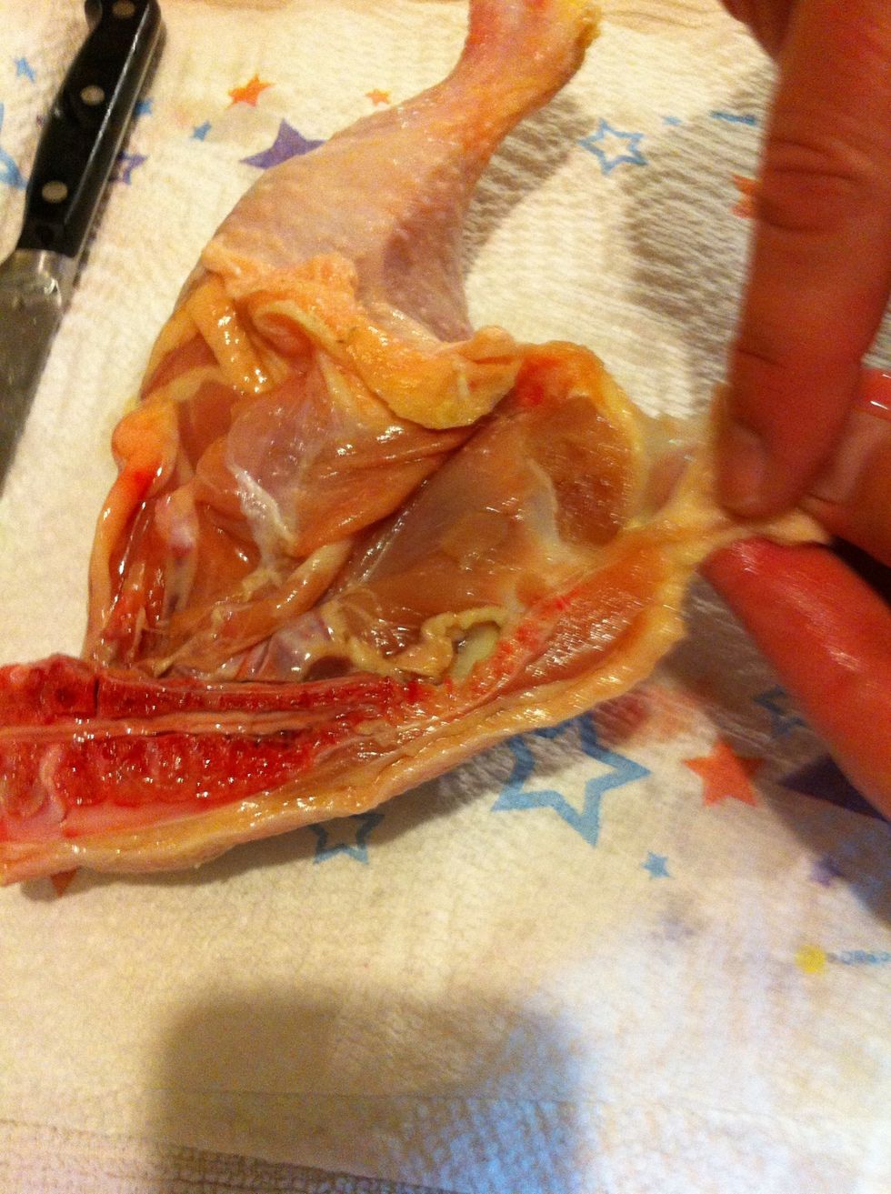 I cut off the tail at the corner of the thigh.