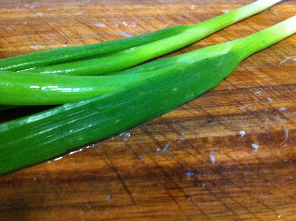 I decided to use my leftover scallions from my Asian short ribs recipe (check that one out too and let me know what you think!)