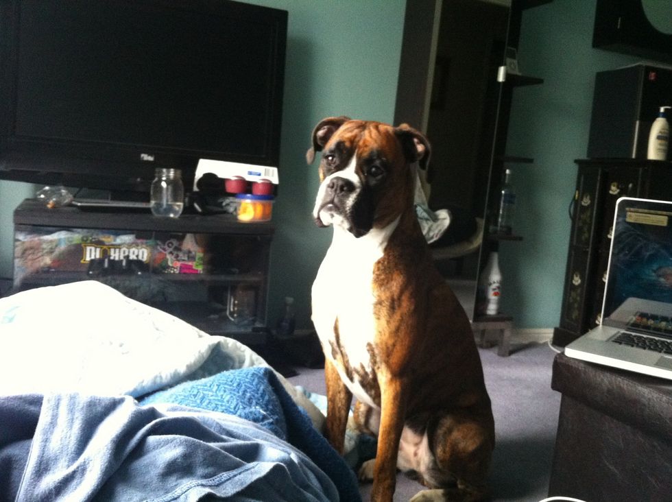 I did this with my dog here & I rang the bell every single time before I let her out. She wasn't doing it so I stopped for a while and then suddenly she started ringing it and she has been ever since