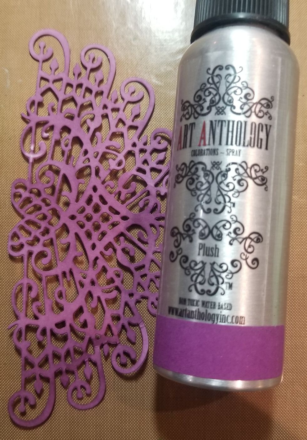 I die cut out a Decorative Medallion die on canson water color paper and misted the cut with plush colorations spray