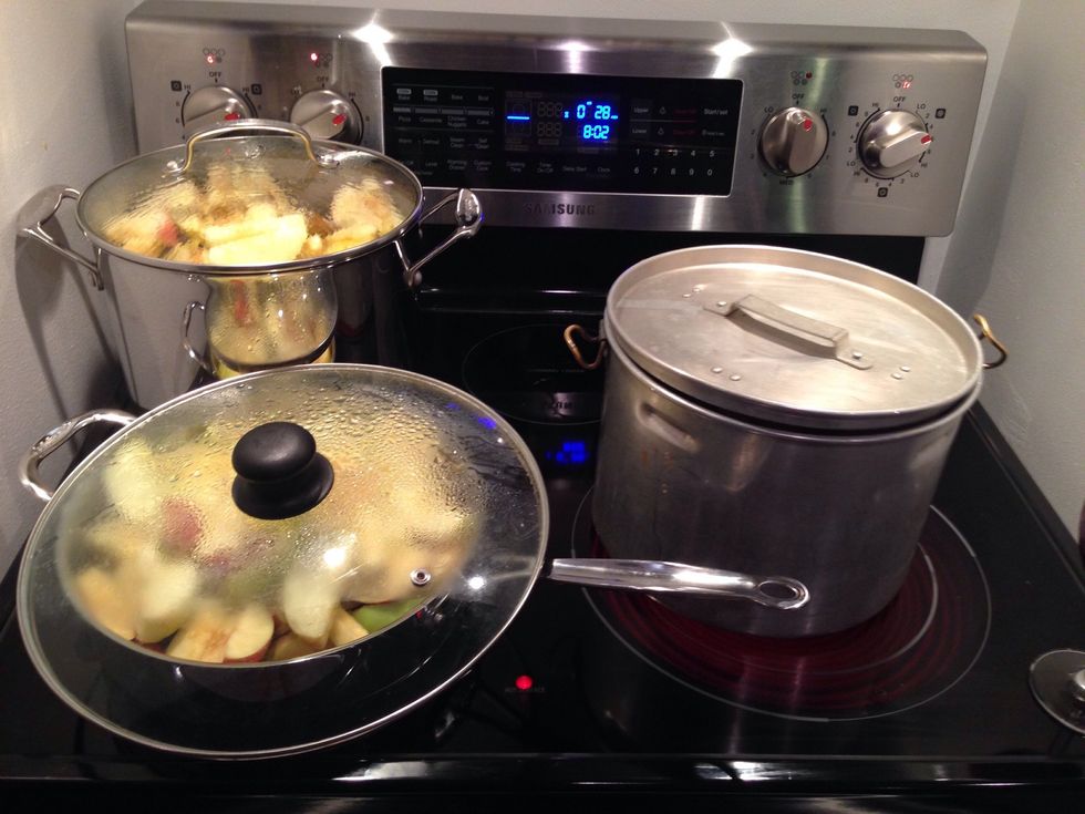 I Ended up with way more apples than I thought so I had to pull out more pots.