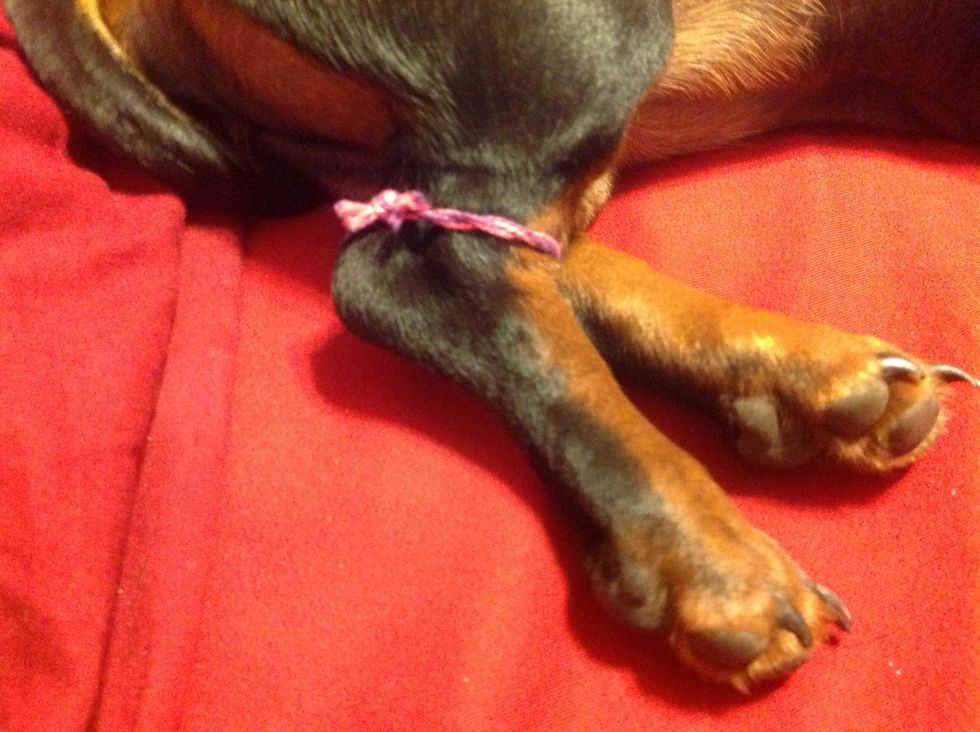 I even made one for my puppy