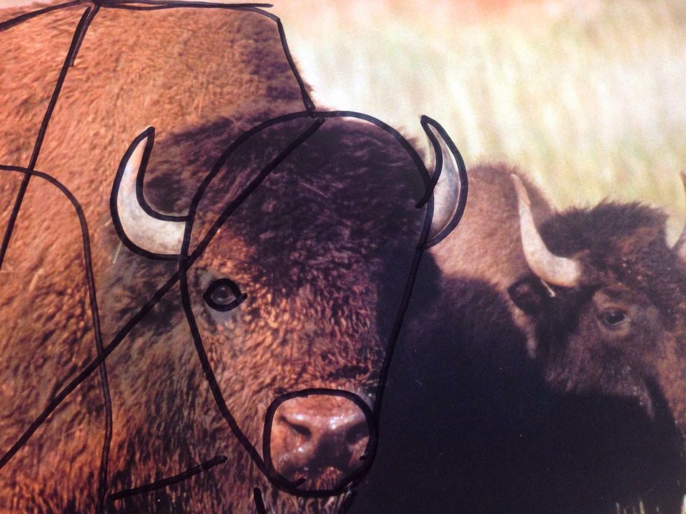 I found a few more shapes in the face to add.