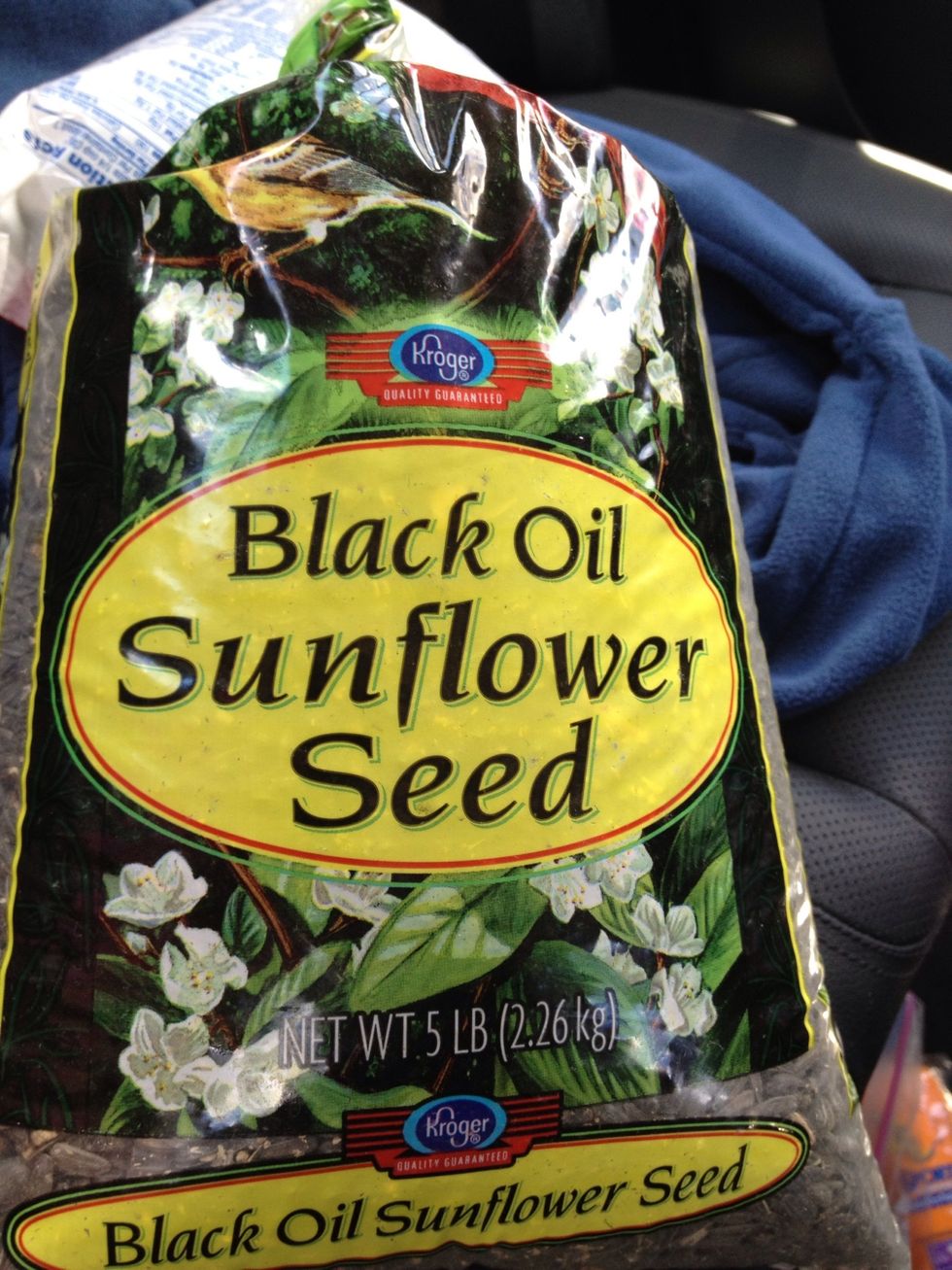 I found these the sunflower seeds that attract more chipmunks