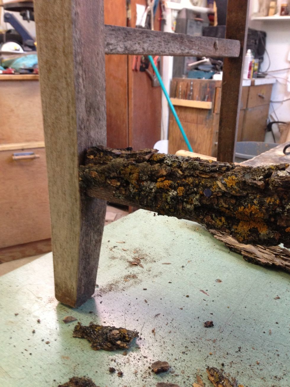 I gathered bark from the ground in the woods.