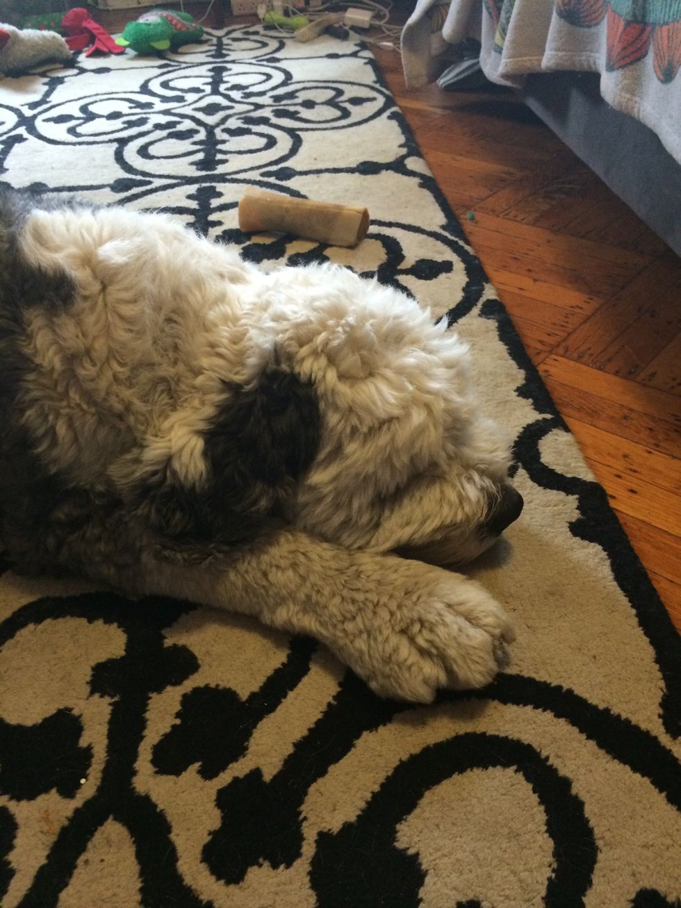 I give him one a day. He's so focused on licking the mixture out and getting to the hard to reach places, it really tires him out.