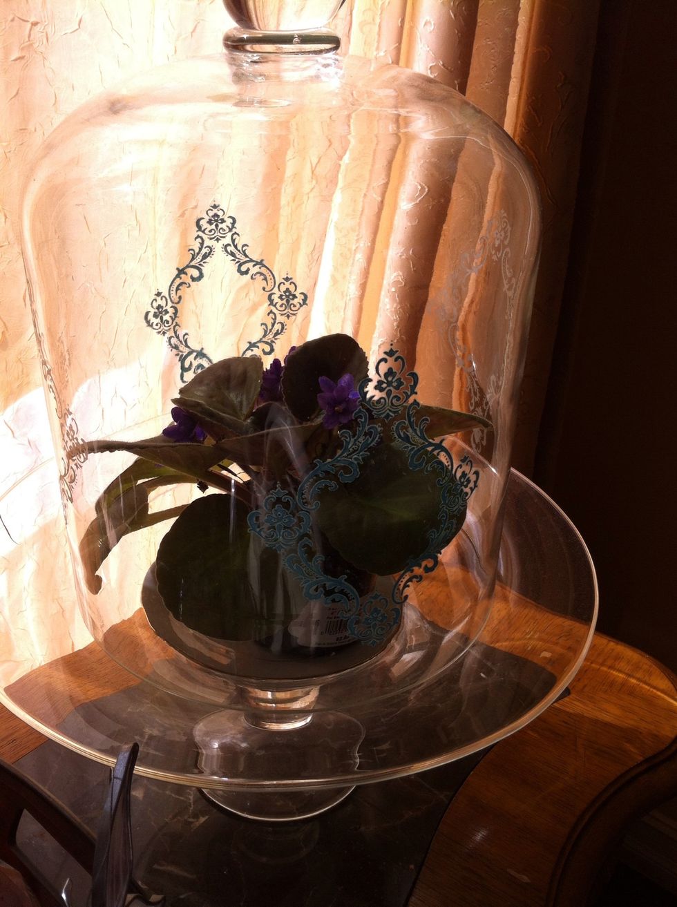 i got this at TJ Max for $14  ... but get on any old glass container like the ones that comes w flowers , jars, wine glass,  be aware that the flat areas are easy to work on... :-)