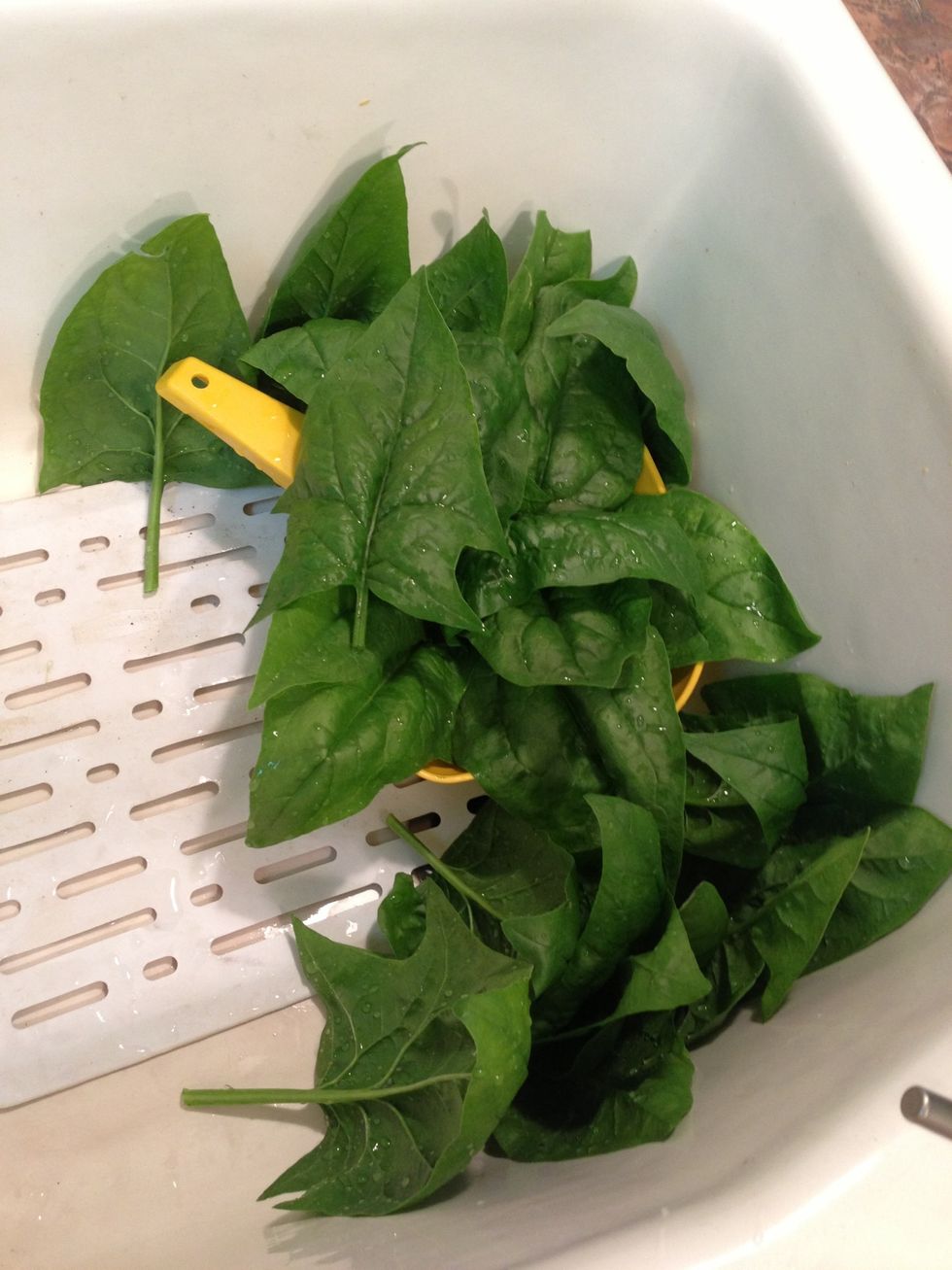 I grew this spinach. You can also buy fresh or frozen already chopped. I've used that before too.