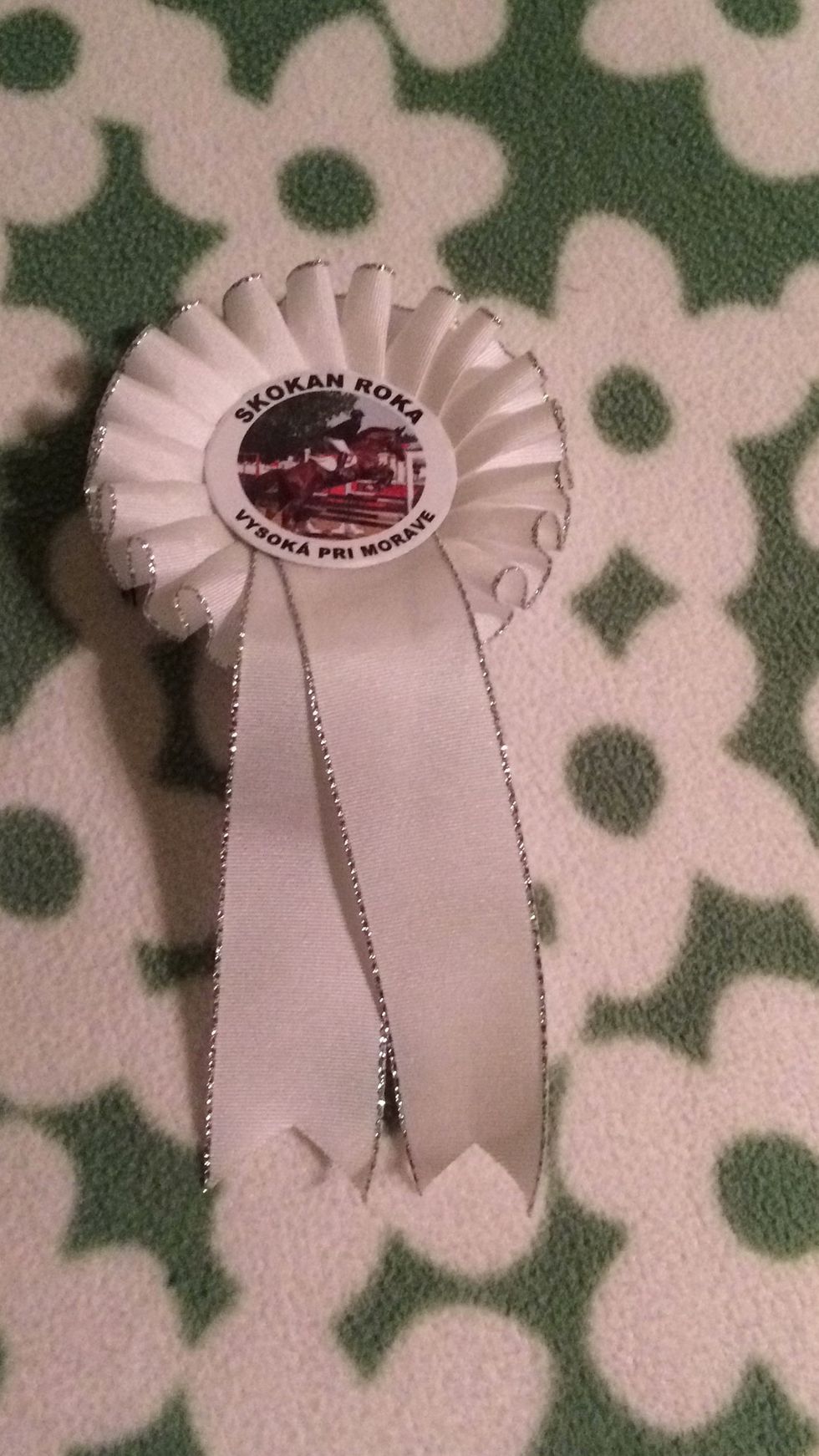 I guess now you know how to jump, so you can go on your first horse show!