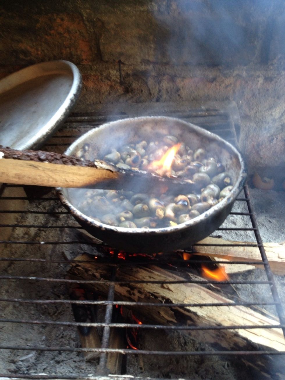 I had a hard time getting the seeds to ignite. The true process would be to let the seeds Sun Dry for 2-3 Days to reduce moister. But we only rented the beach house for two days. So it took longer.