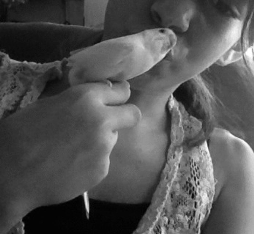 I have a bird as u guys probably know her name is Soldier