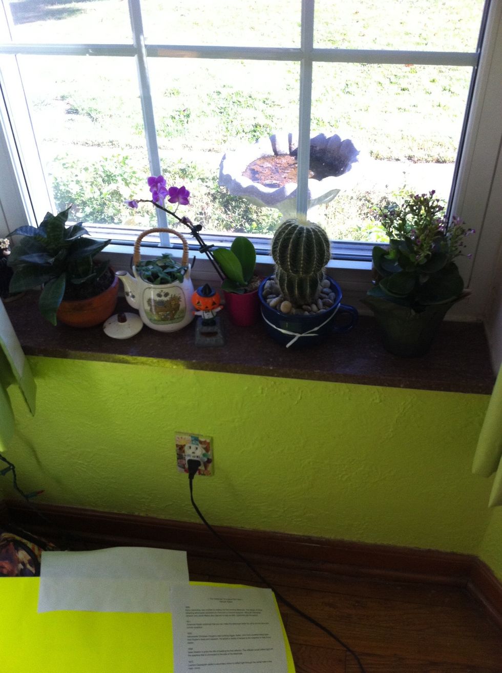 I have a lot of plants in my room! They really add happiness and good vibes to the room. (You can see the outlet cover I made in another guide aswell)