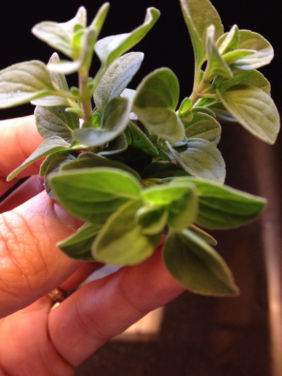 I have fresh oregano and basil from my garden but feel free to use what you have in the pantry