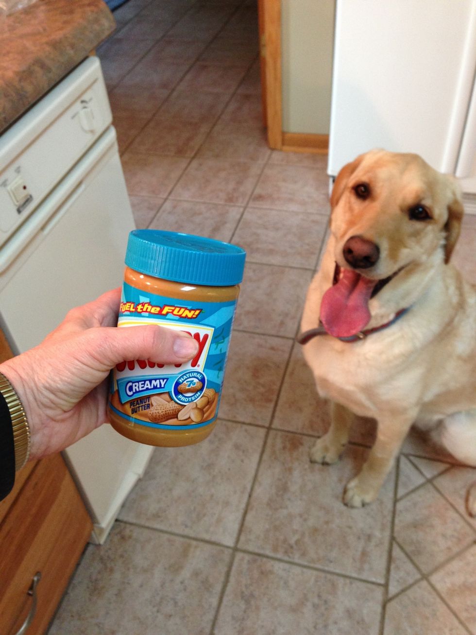 I haven't met a dog yet that doesn't like peanut butter.