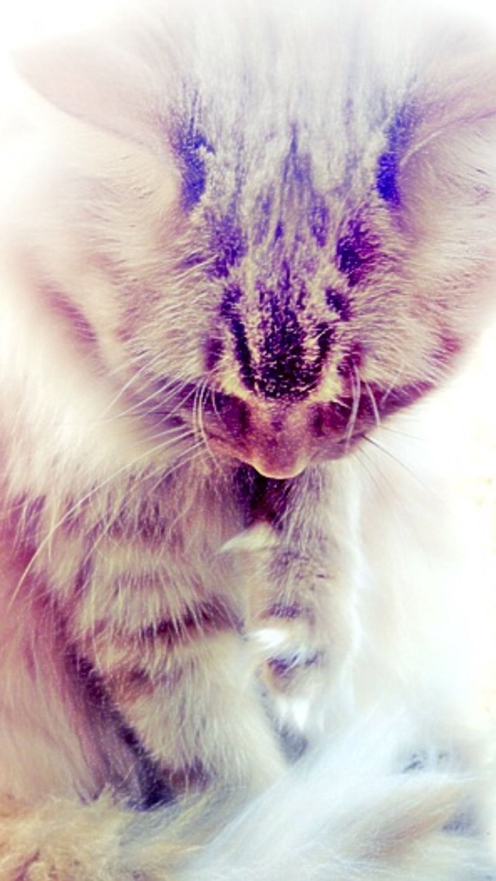 I highly recommend joining an online community, such as deviantart. It gives you a place to share your photos and I've learned a LOT from the community!