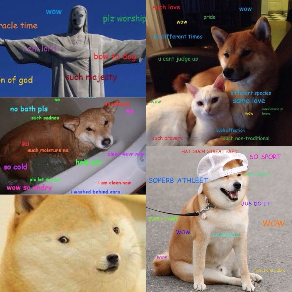 I hope this helped(: