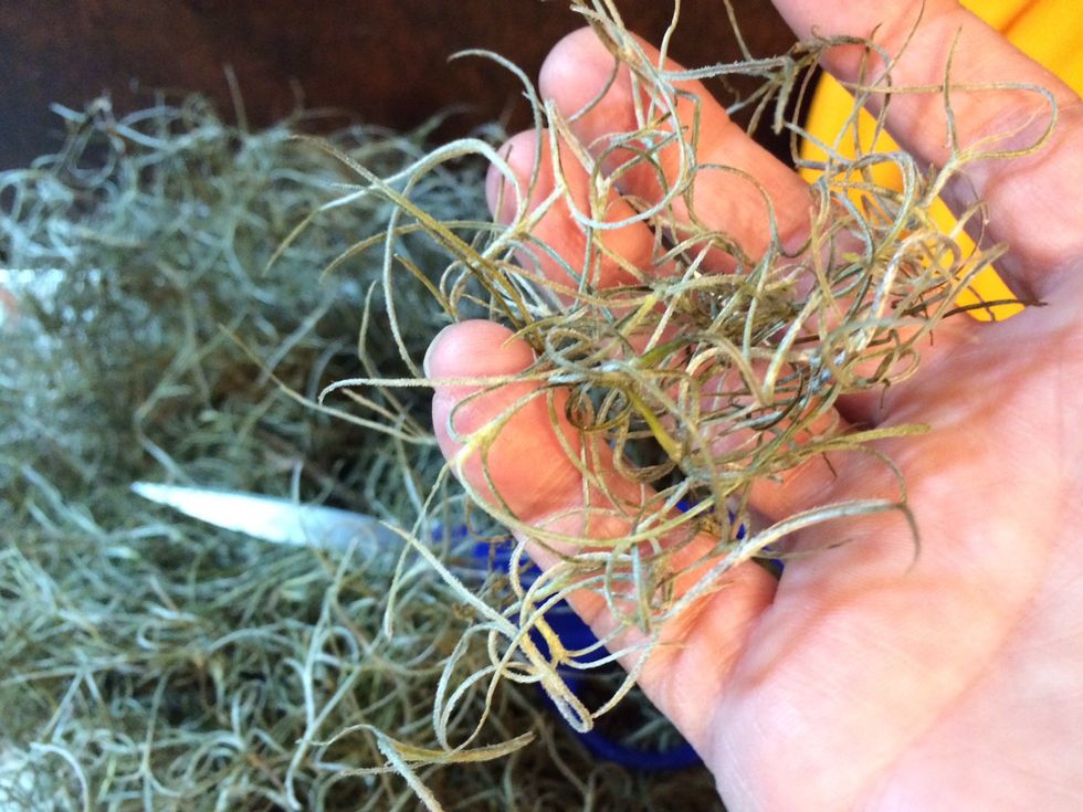 I just cut off the amount I want.