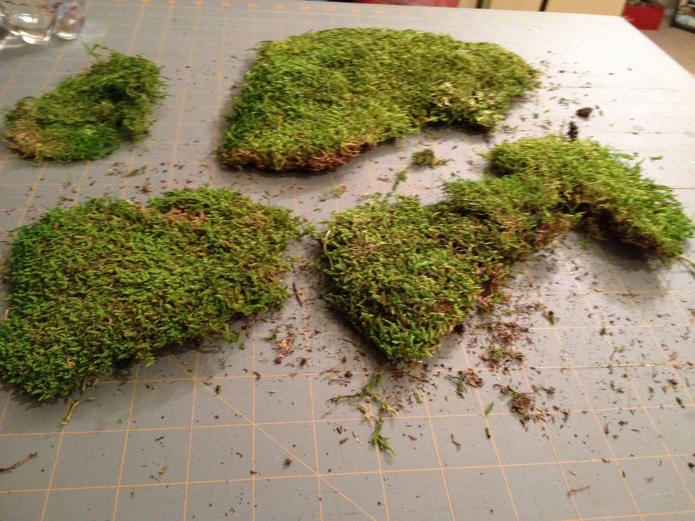 I laid out the prices of moss so I could see them to piece them better.