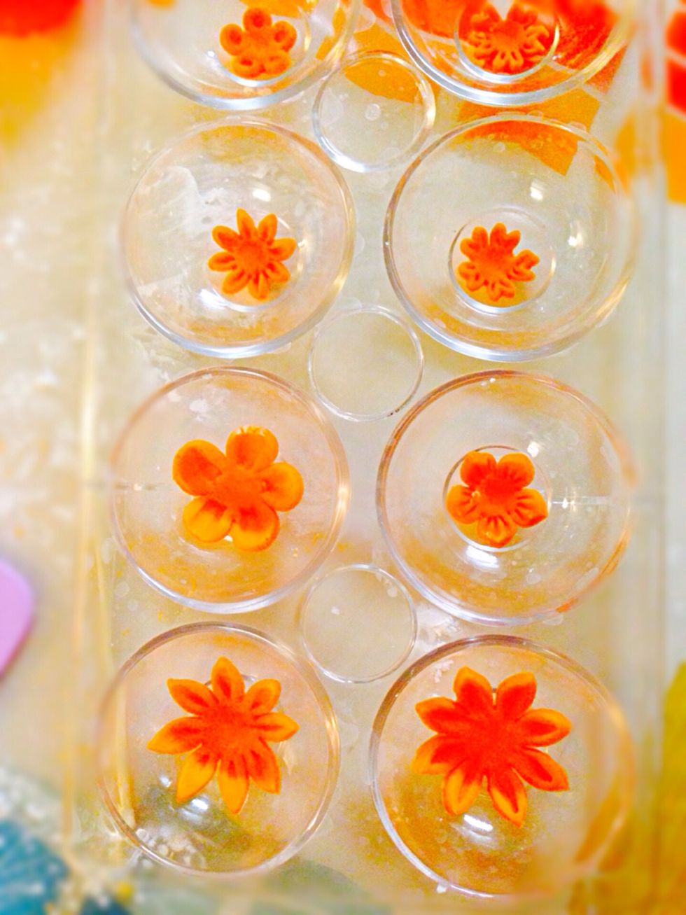 I let my flowers dry a bit in clean egg container to create the shape