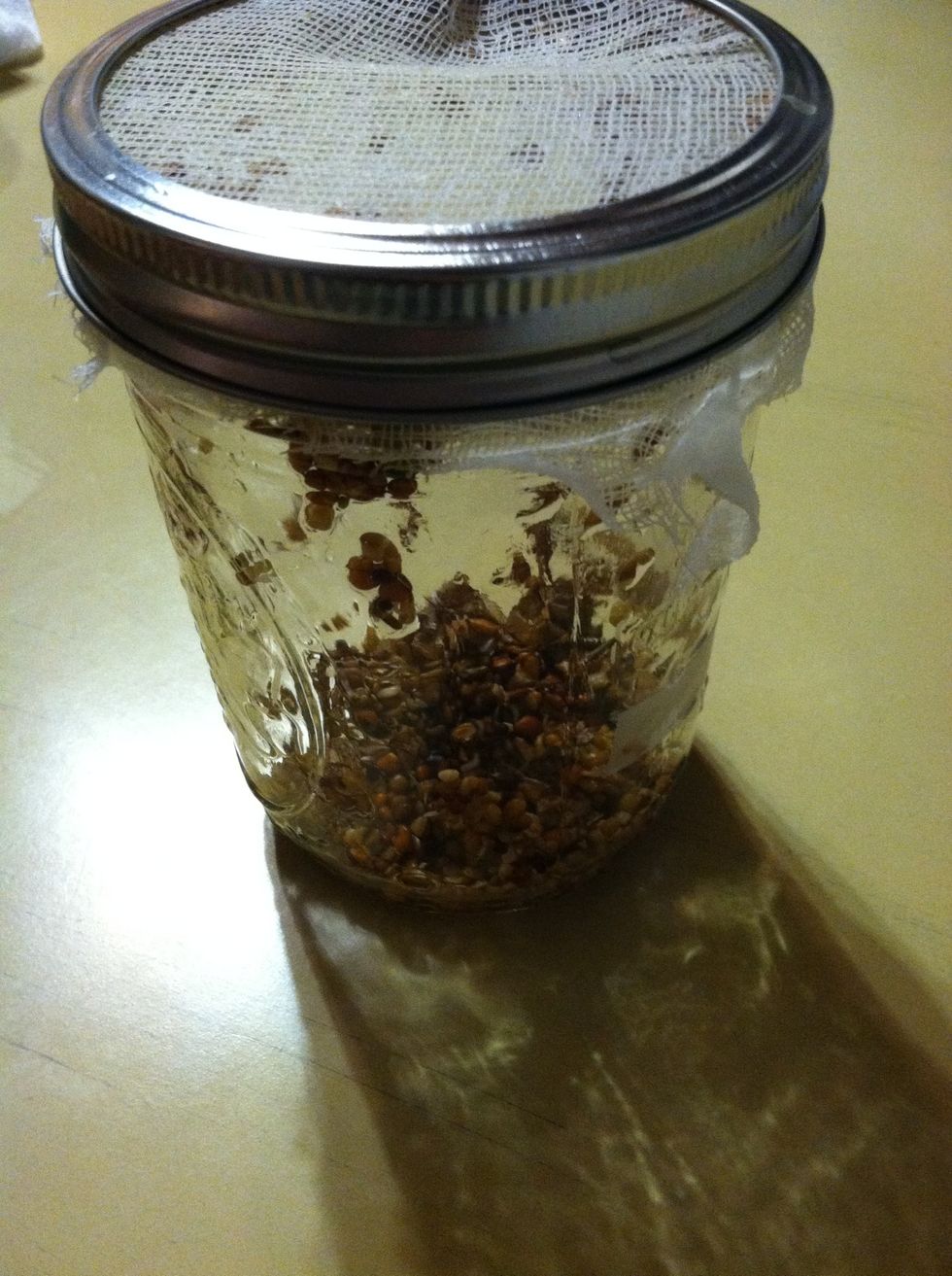 I let them soak over night and poured out the water in the morning then rinsed. I placed my jar in the kitchen by a window.