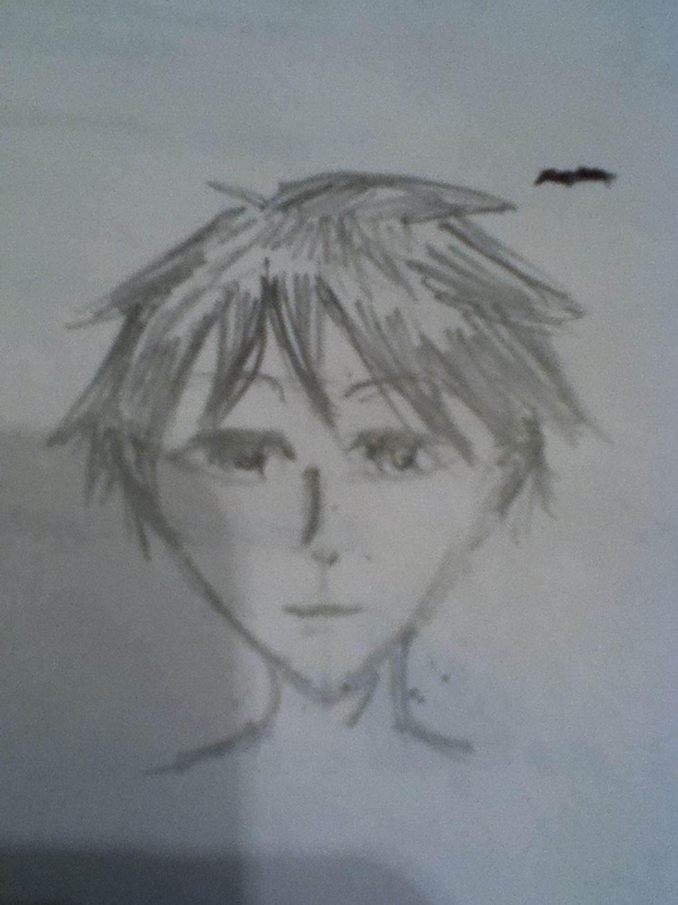 I lightly blended the hair by smudging it lightly. Then I erased the guide lines.