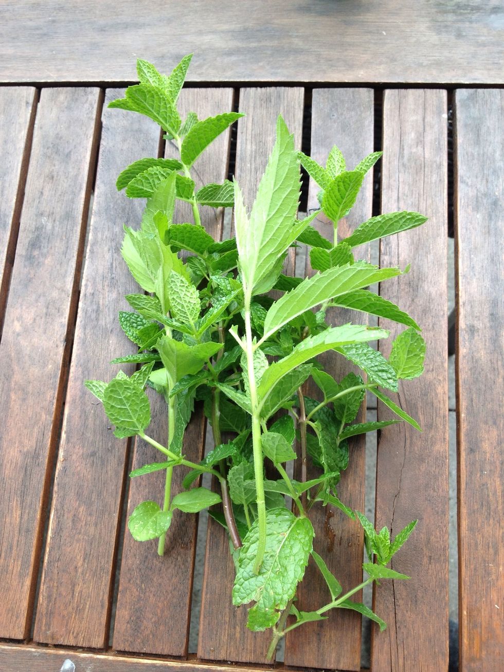 i like to mix different. Only choose good leaves