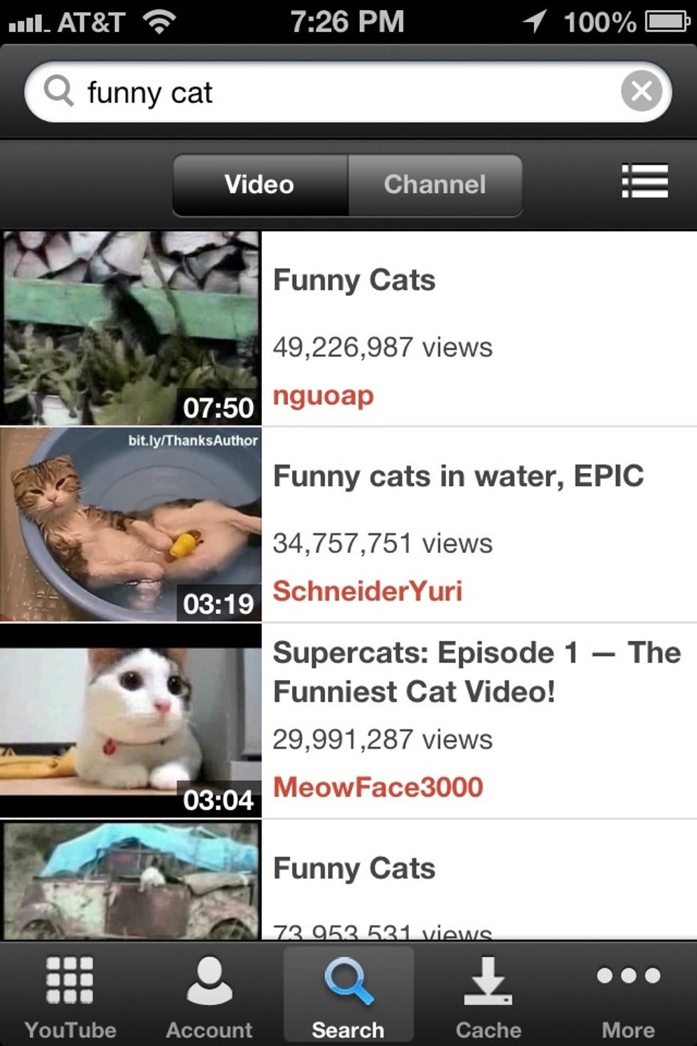 I'll just go into the search section and search for funny cats. This is a funny video by the way. Always makes me laugh.