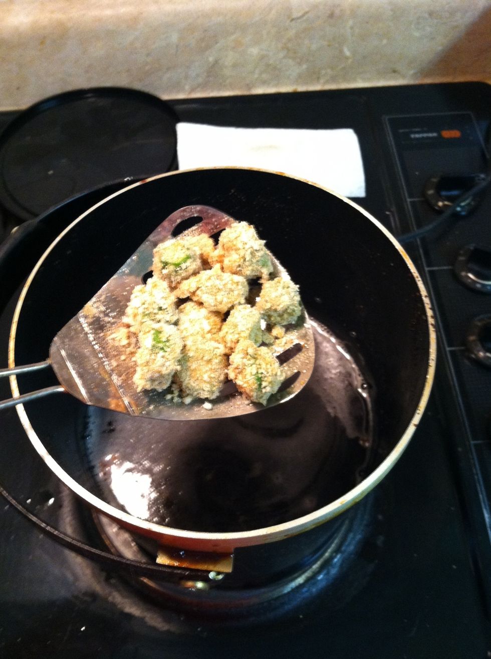 I loaded the okra on my fry daddy spoon.