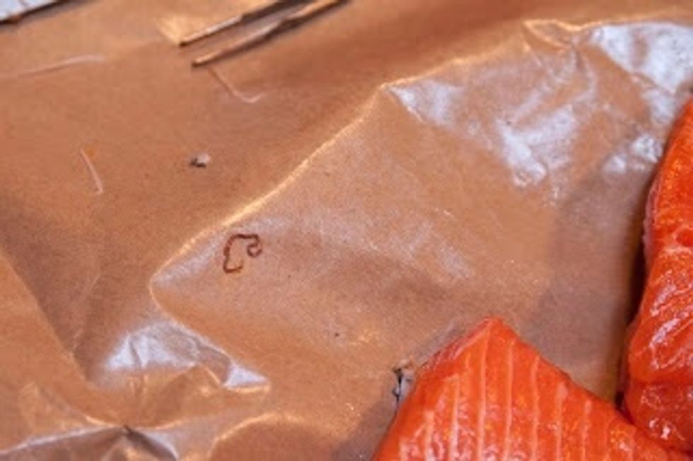 I look for any tiny pinhole type marks, if I find one I go to work with my tweezers. Sure enough, I found a live worm.