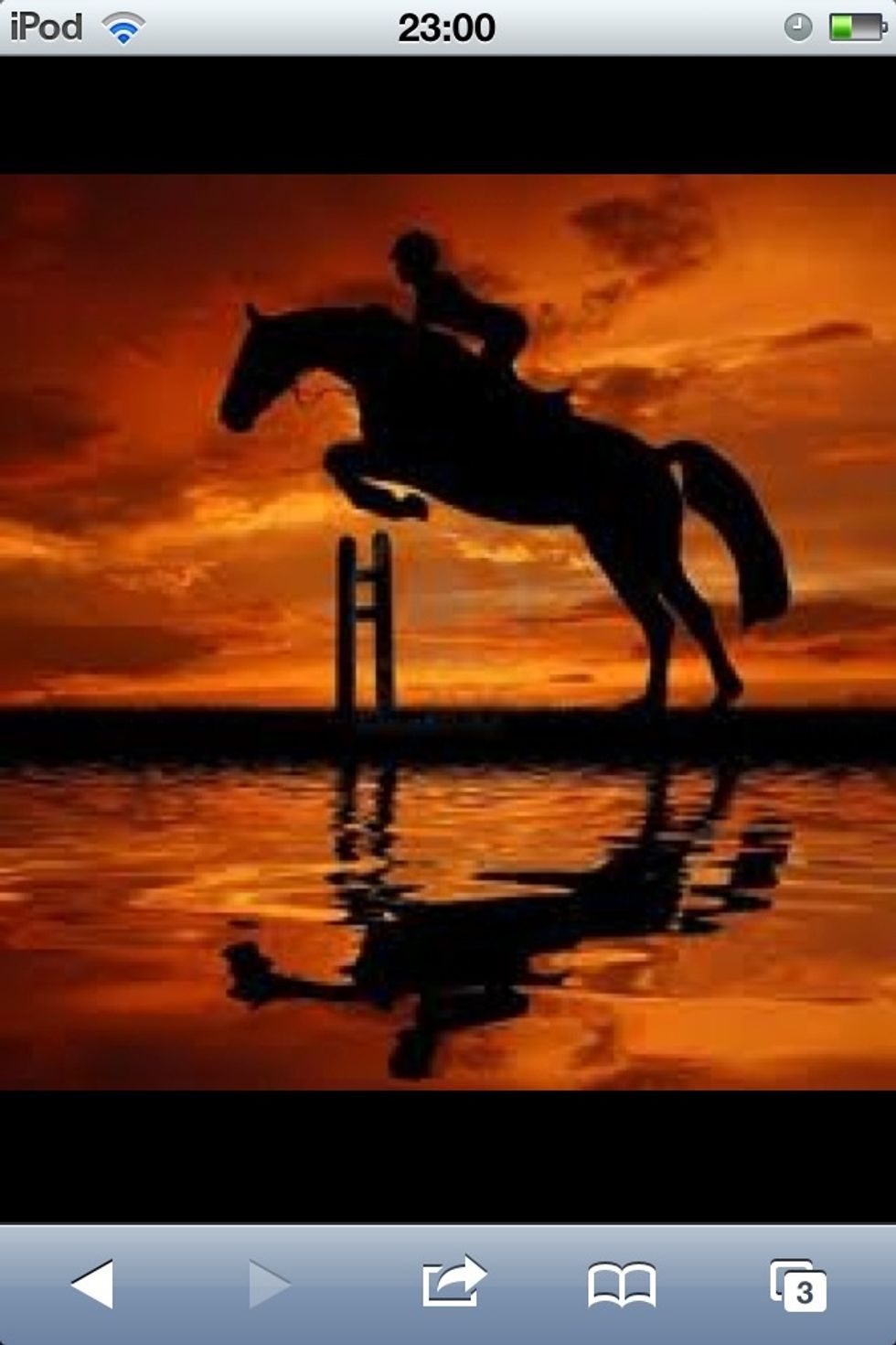 I love horses, so i found an image on safari