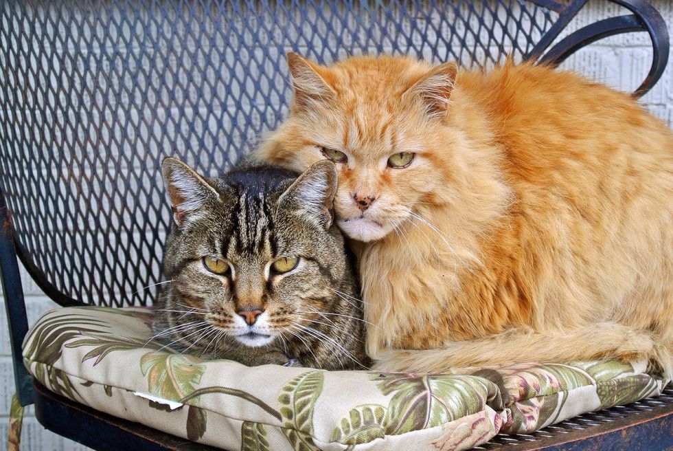 I love photo walks because you never know what to expect. Just keep your eyes peeled for photo opportunities and you may get lucky :D