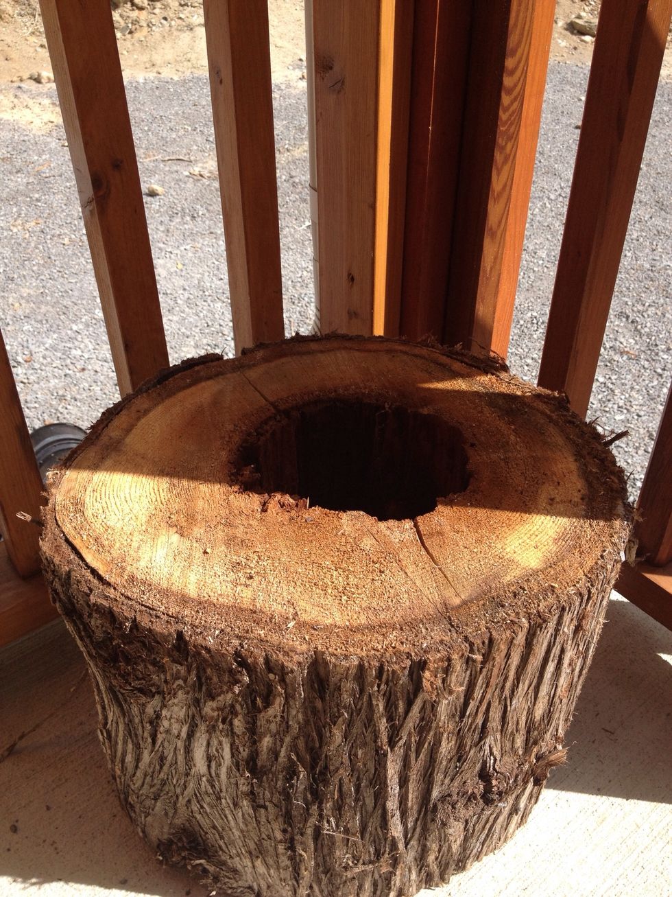 I'm going to plant in this old log.  I'm at the cottage, so a rustic look will do fine here.  Keep Impatiens out of direct sunlight.