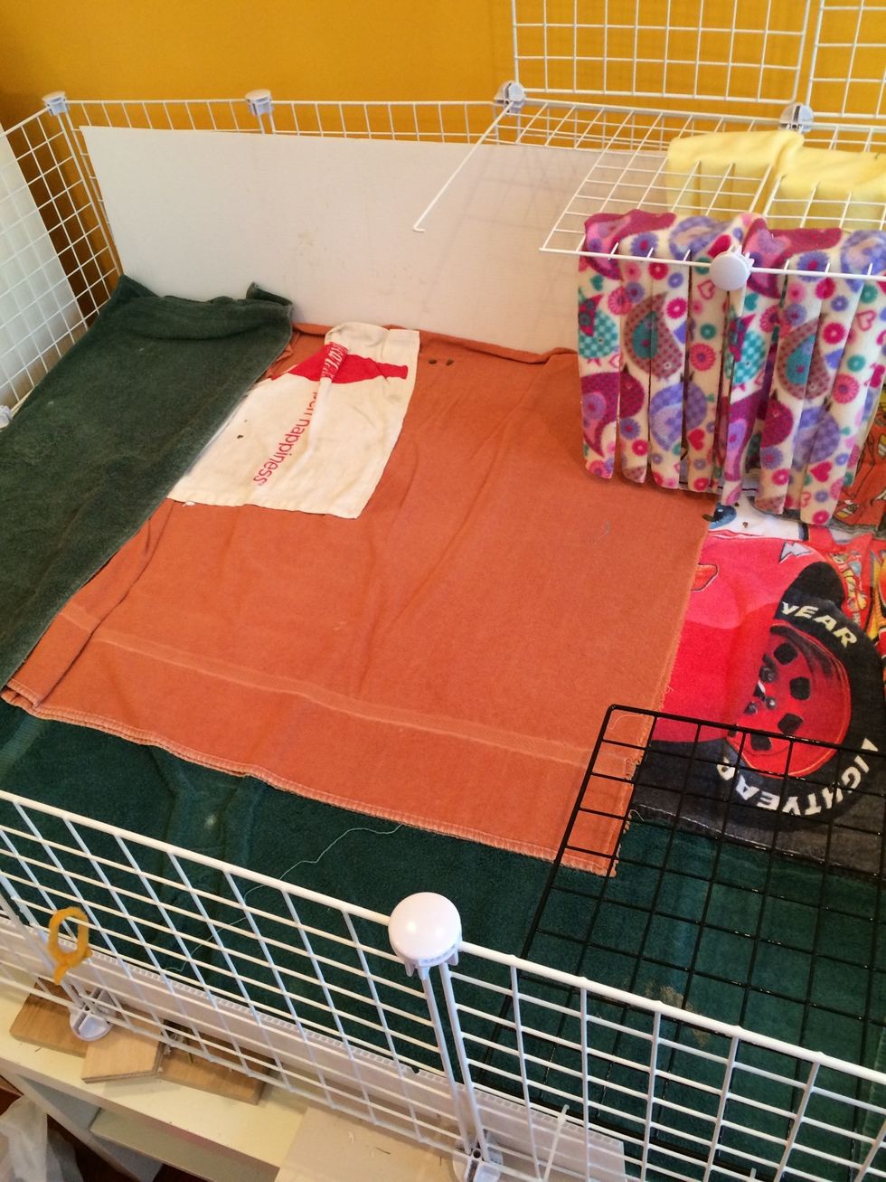 I'm going to use all fleece bedding in this. Start by setting up your cage and laying down towels across the bottom.