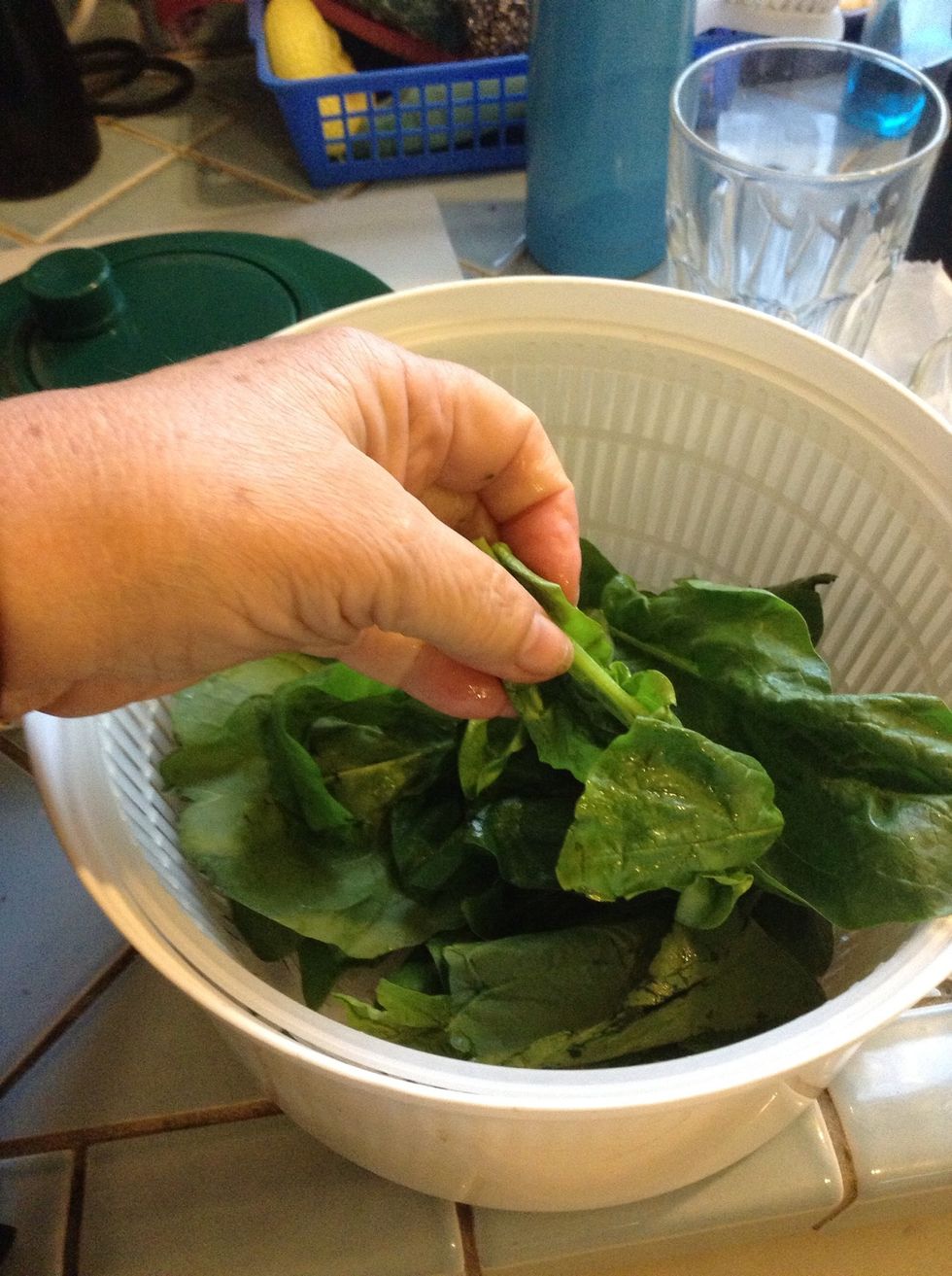 I'm using a salad spinner to wash my spinach. I put in the leaves . . .
