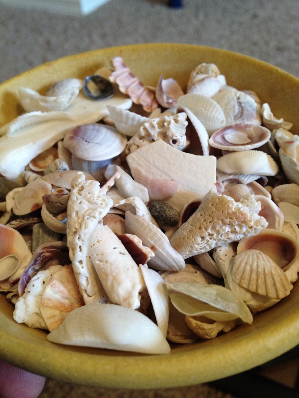 I'm using shells, I collected while on vacation. If you don't have any, this project would be a good excuse to go on one! :) really though you can use any nacks like buttons or beads.