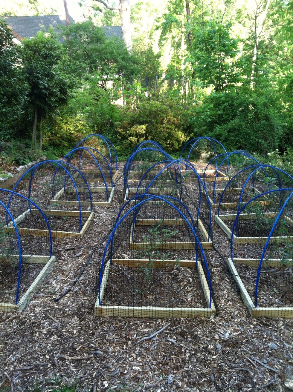 I made 12 this spring, so far so good!