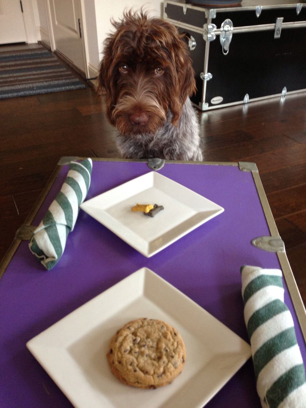 I made her wait on her cookie...how funny is this face!!   Check out my blog: www.whatdegarmeauxdoes.wordpress.com!