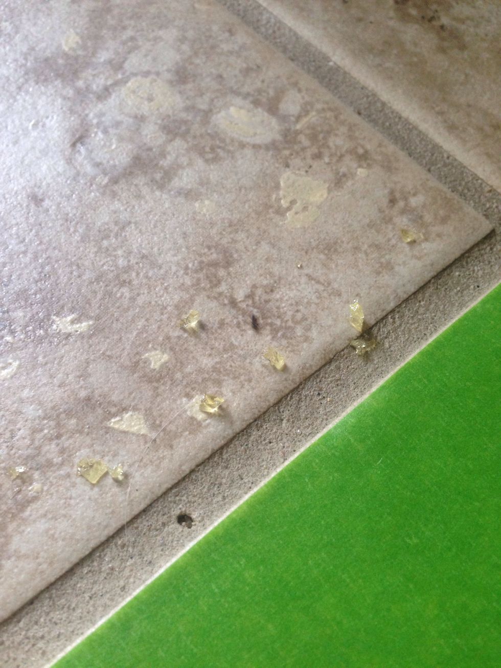 I masked off the area with crumbs to know exactly where to clean up afterwards.  The plan is going precisely as hoped for... Already seeing fewer ants.