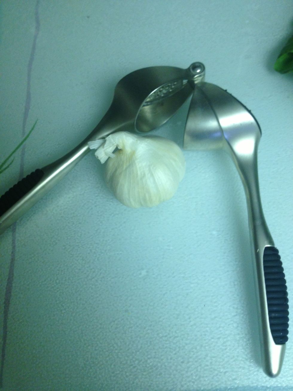 I minced some garlic into the onion, garlic always goes with onion.