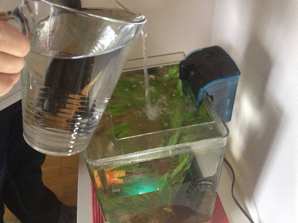 I need to add a little bit more water. This was the water I removed initially, or you can add some from your own stash of aquarium water.