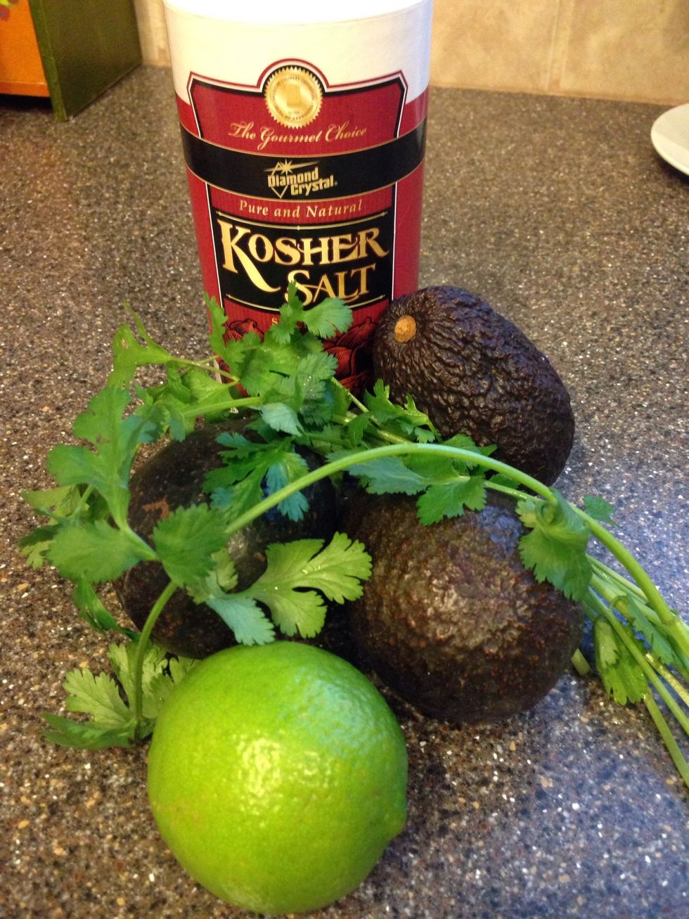 I prefer my guacamole simple with no tomatoes or onions (that's in the salsa!)