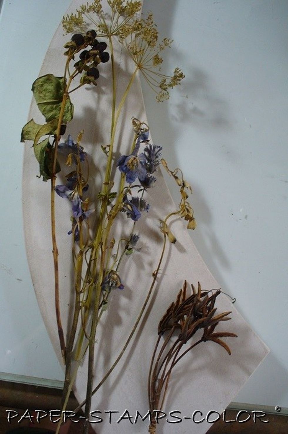 I primed a leftover piece of MDF with gesso and decide to use it for this project. First try and visualise what you'd like to achieve, and which dried flowers to use.