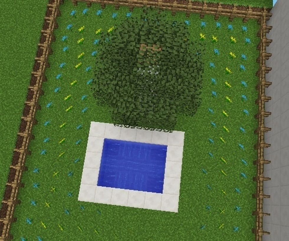 I put a pool in the garden cuz I didn't have any other flat surface