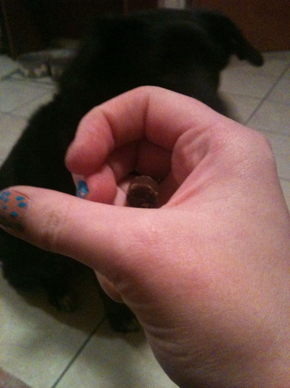 I put the treat in an almost closed fist to start. This is enough that the dog can lick at it, smell it, but not get it out. This method starts to force the dog to be creative.