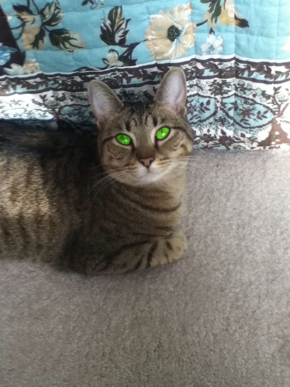 I recolored the eyes with this one in Art Studio. :P