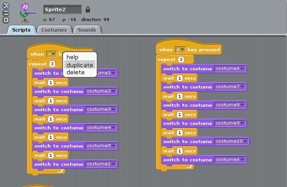 I right clicked my first set of scripts and duplicated the entire block. Now switch the costumes to 6-10 to end on 6. Change the key press to p for phloem..