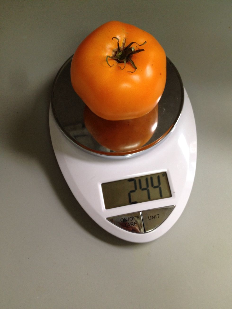 I roughly weigh my tomatoes to about four pounds (64 oz). This heirloom tomato is an unknown varietal but meaty Italian Heirlooms, Amish Pastes and Romas make great sauce 'maters.